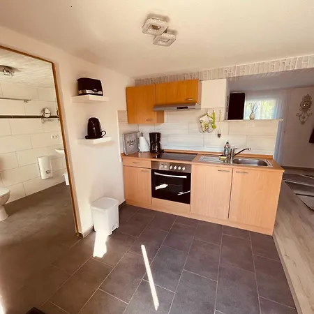 Am Haussee Feldberger Seenlandschaft